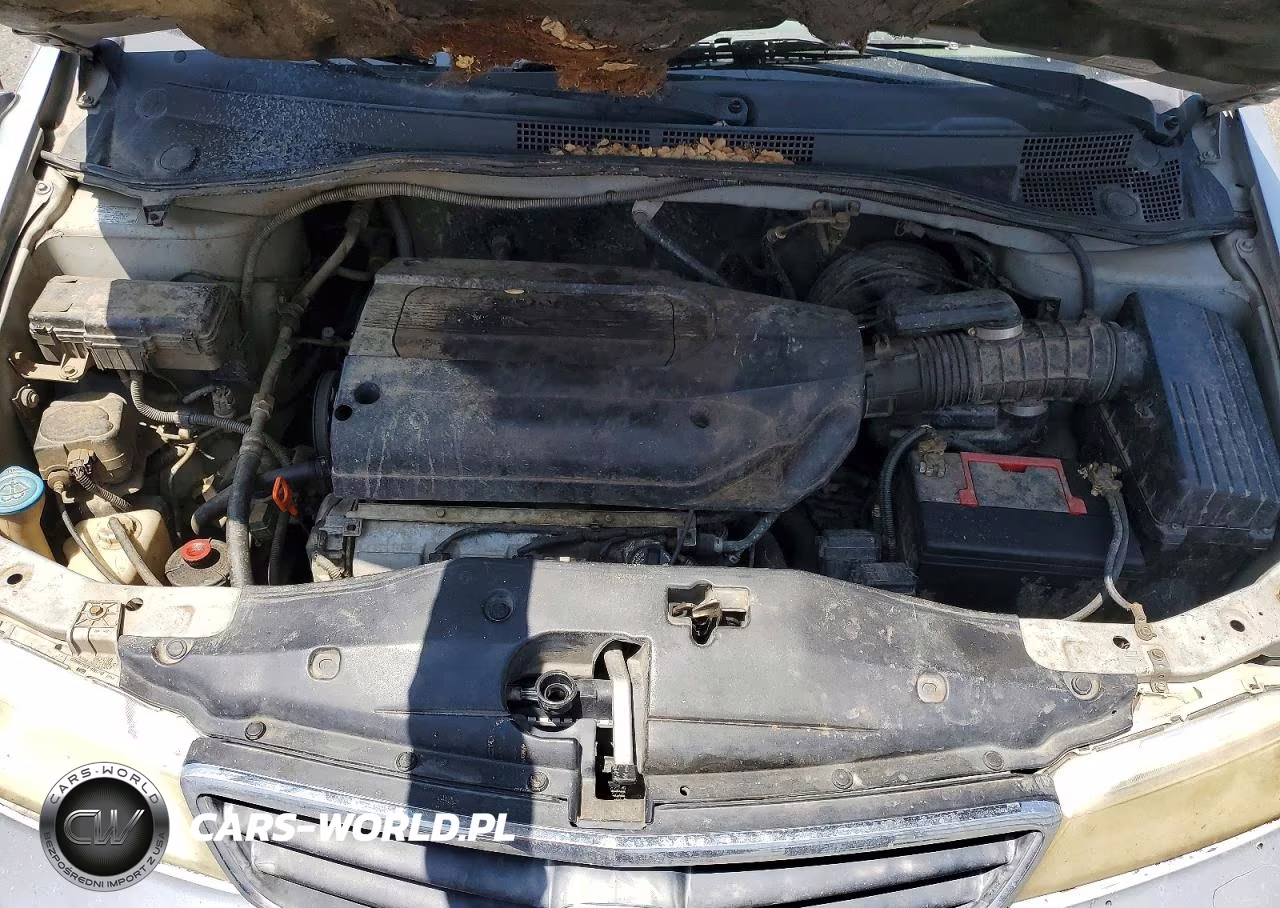 2002 Honda Odyssey Exl VIN:2HKRL18982H582264 - 12