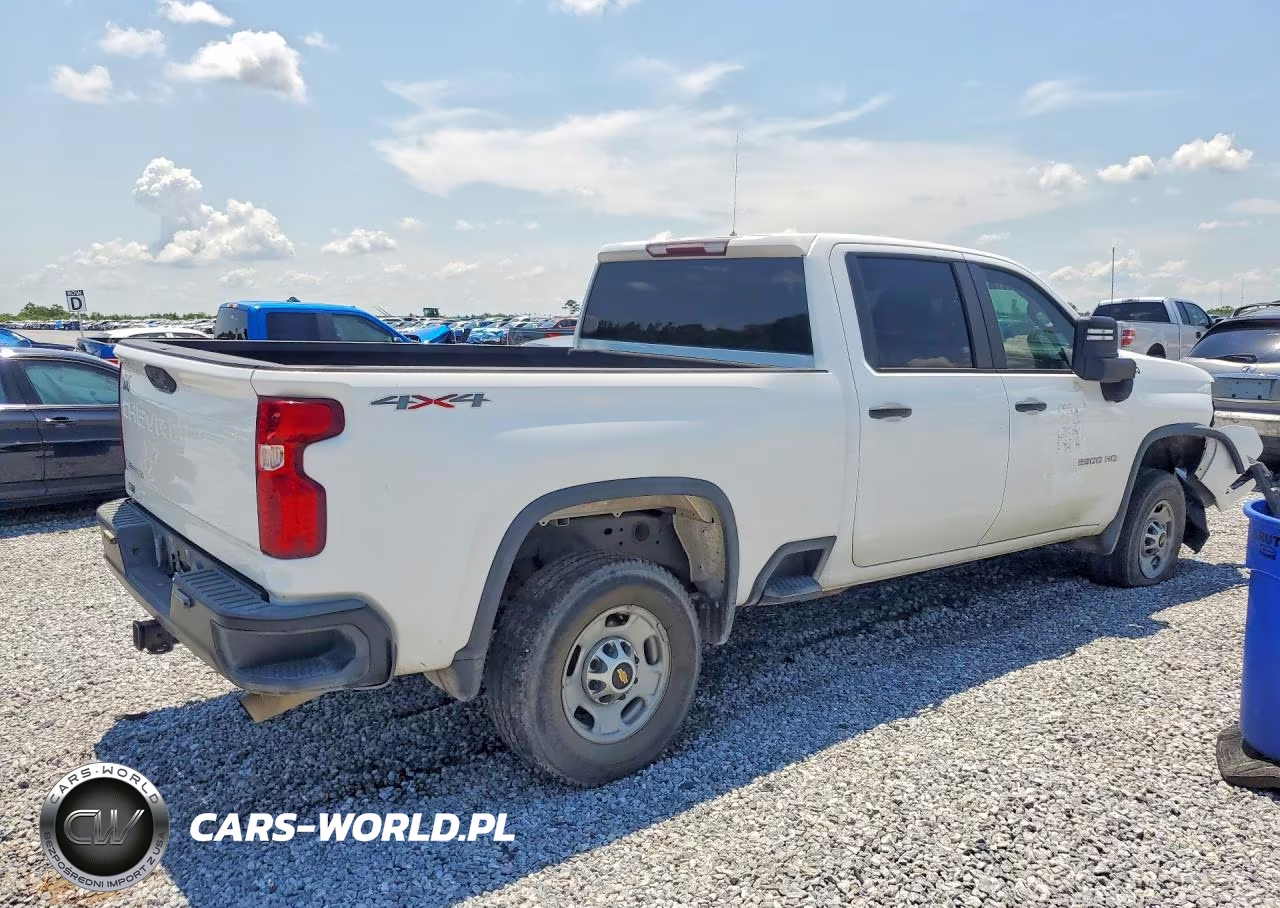 2020 Chevrolet Silverado K2500 Heavy Duty VIN:1GC4YLE73LF148968 - 3