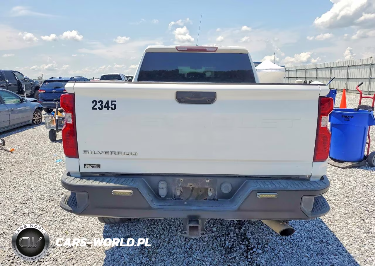 2020 Chevrolet Silverado K2500 Heavy Duty VIN:1GC4YLE73LF148968 - 6