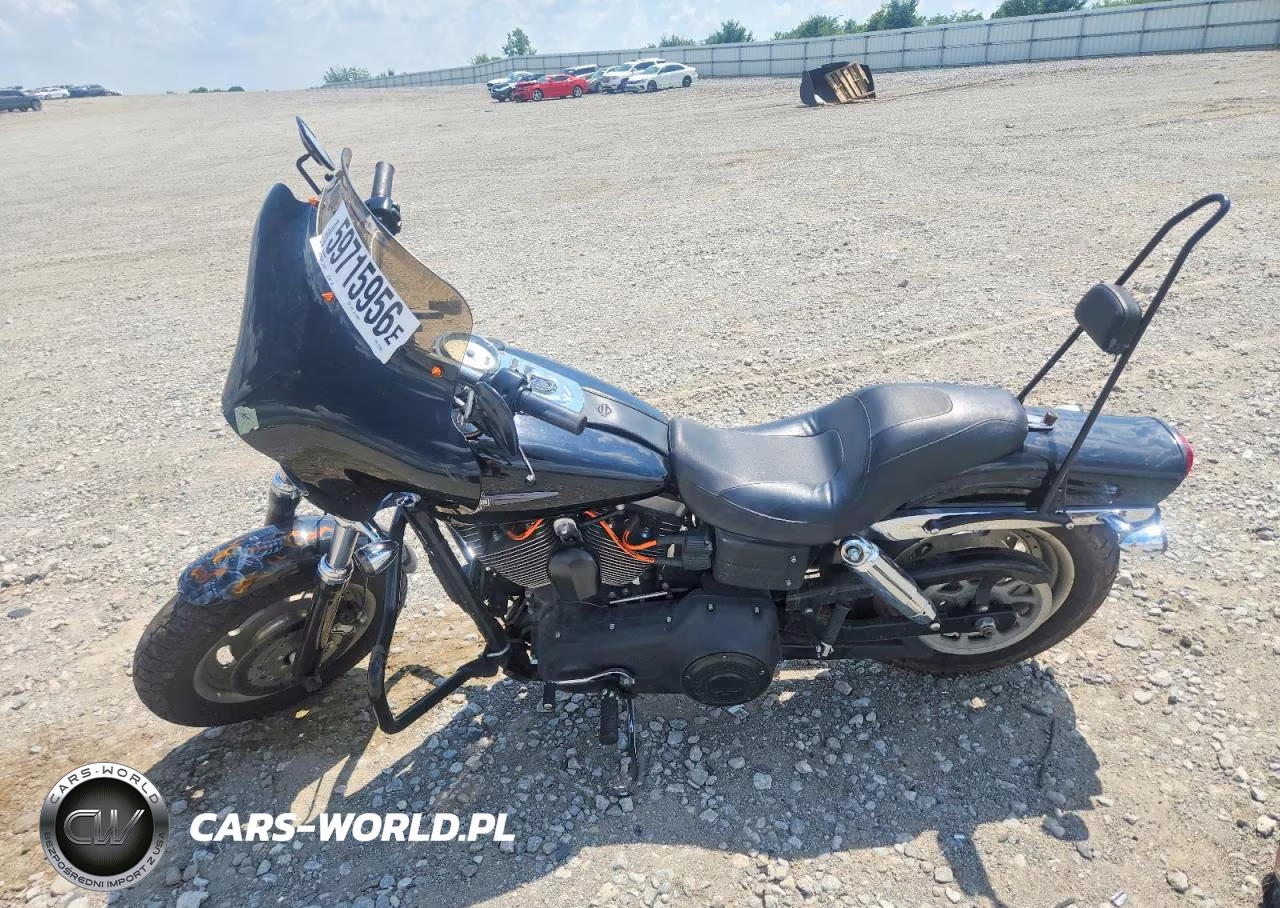 2009 Harley-Davidson Fxdf VIN:1HD1GY4179K313502 - 3
