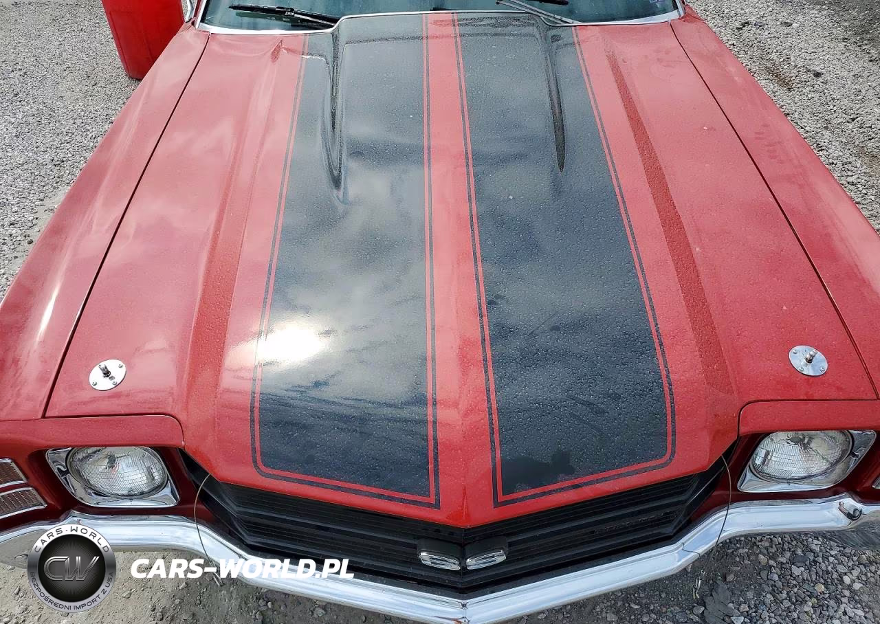1971 Chev Chevelle VIN:136371K243228 - 11