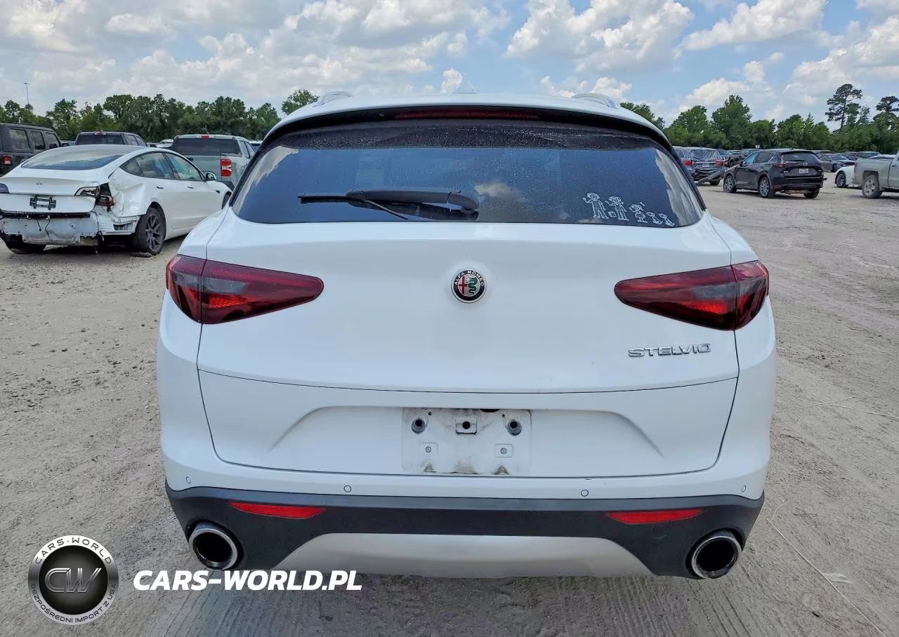 2020 Alfa Romeo Stelvio Base VIN:ZASPAJAN7L7C93037 - 6