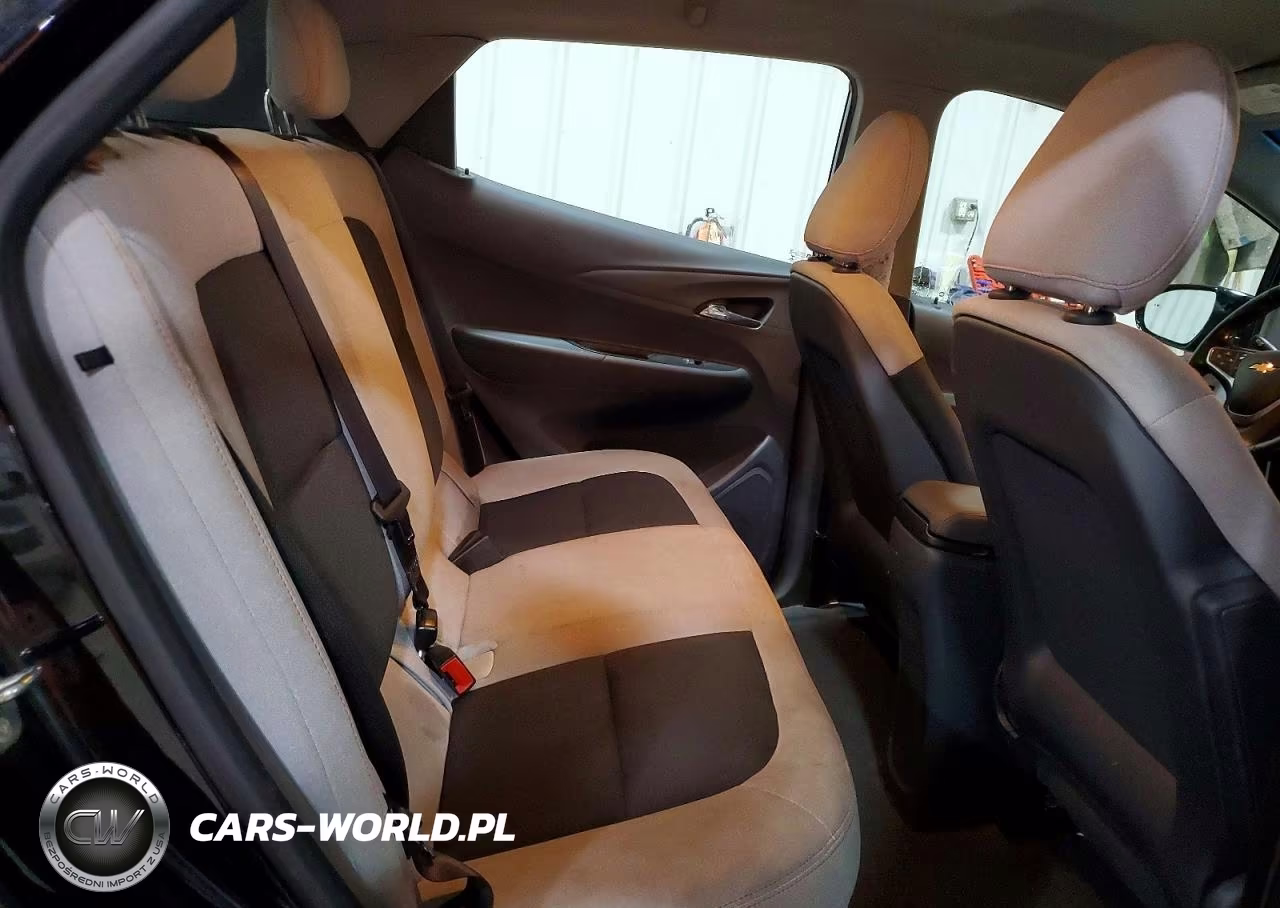 2019 Chevrolet Bolt Ev Lt VIN:1G1FY6S02K4142034 - 10
