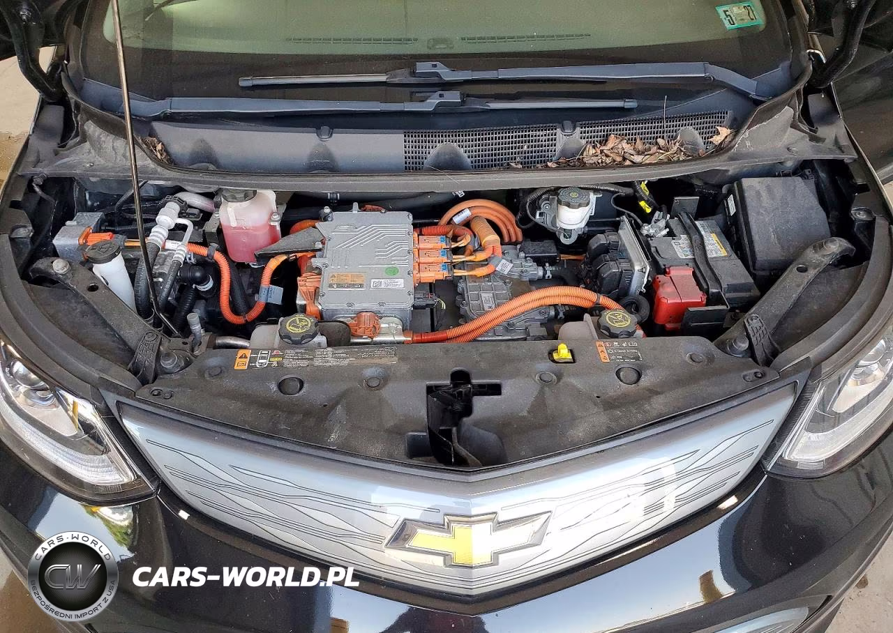 2019 Chevrolet Bolt Ev Lt VIN:1G1FY6S02K4142034 - 11