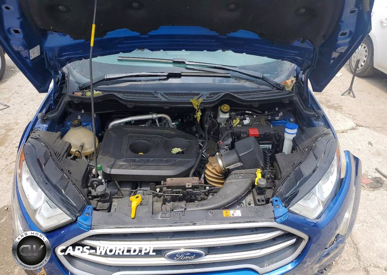 2019 Ford Ecosport Se VIN:MAJ6S3GL3KC293373 - 12