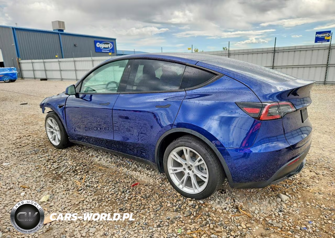 2021 Tesla Model Y VIN:5YJYGDEE2MF161502 - 2