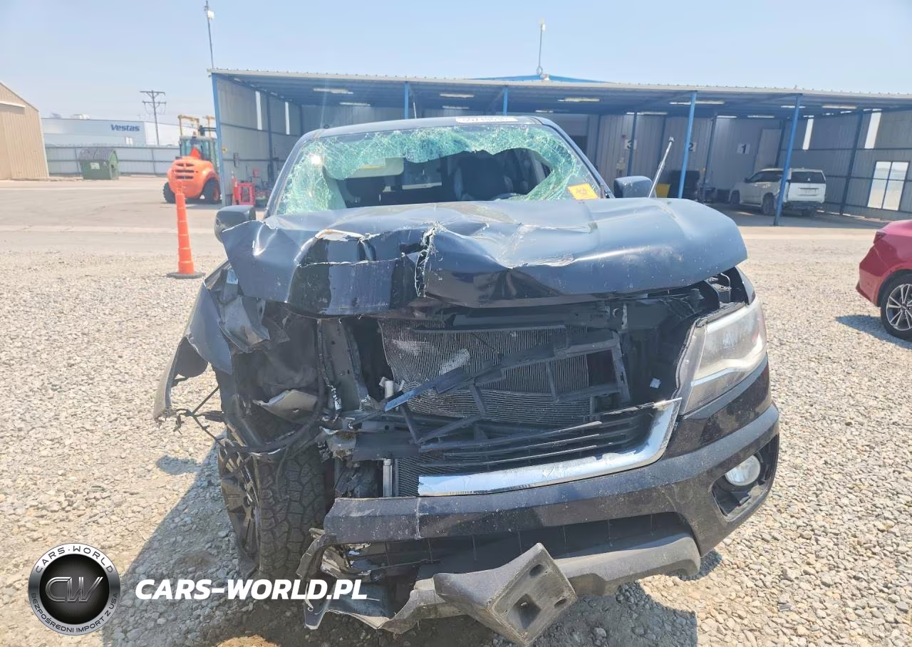 2019 Chevrolet Colorado Lt VIN:1GCPTCE13K1161173 - 5