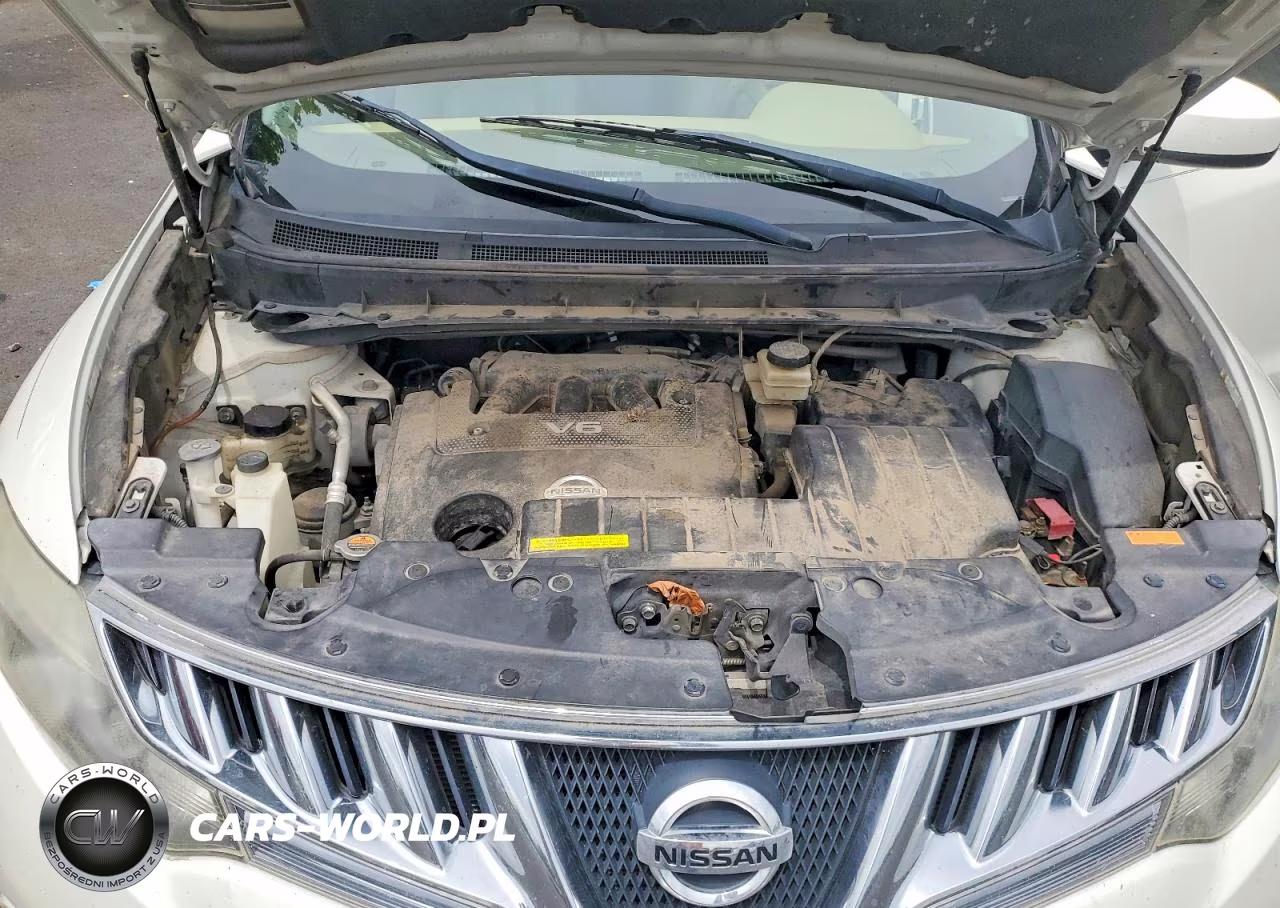 2009 Nissan Murano S VIN:JN8AZ18W29W125377 - 11