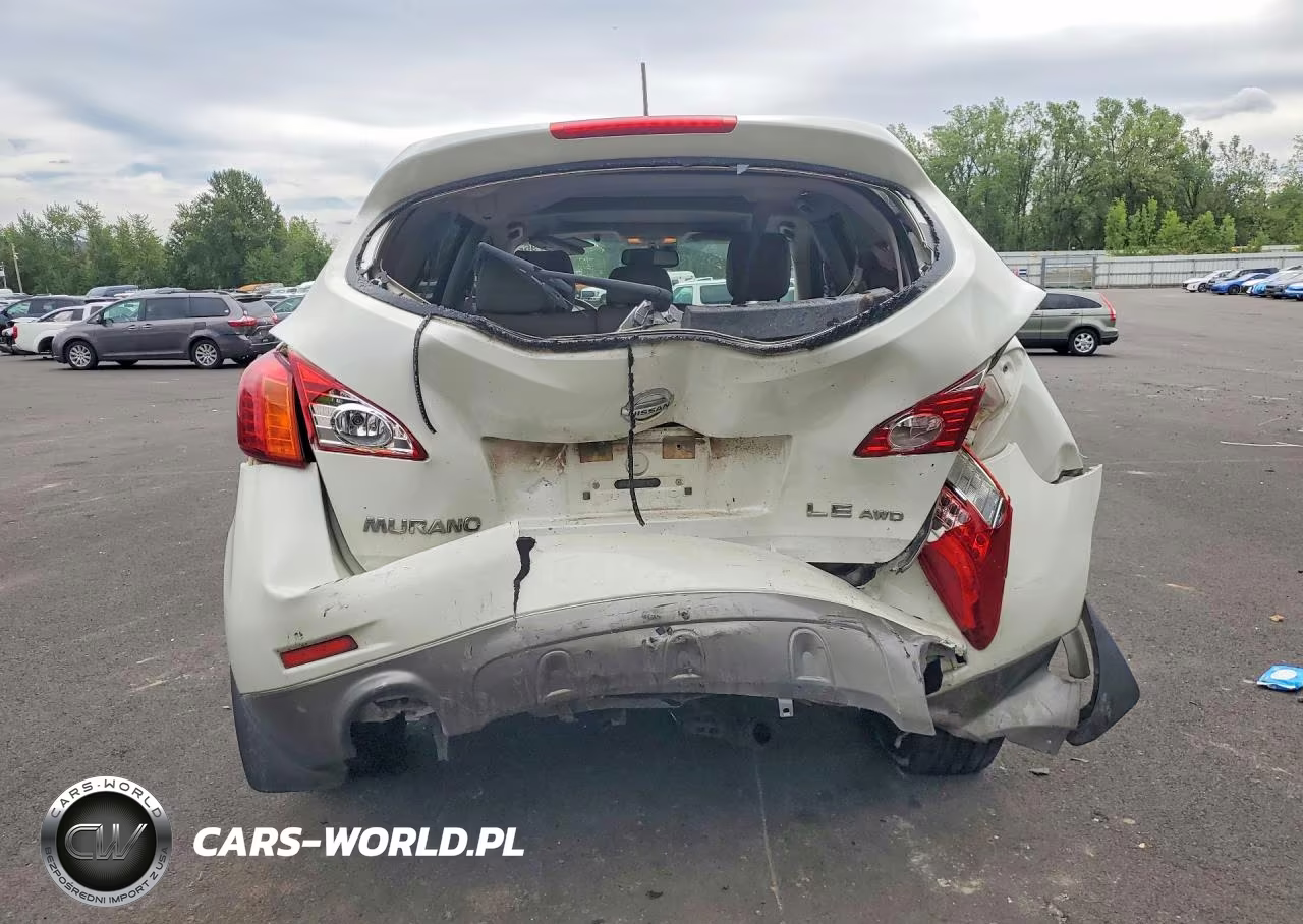 2009 Nissan Murano S VIN:JN8AZ18W29W125377 - 6