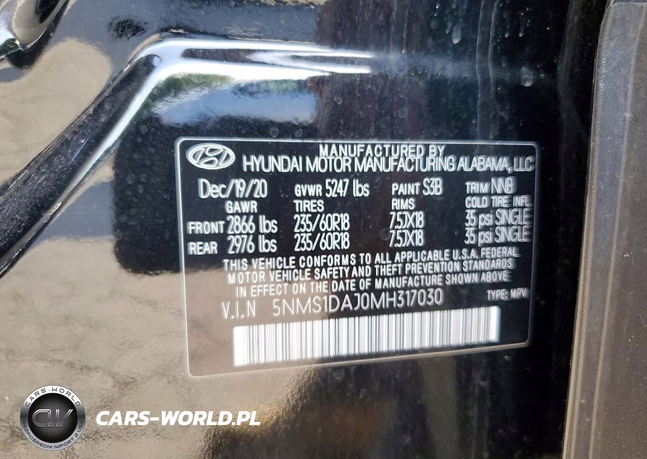 2021 Hyundai Santa Fe Se VIN:5NMS1DAJ0MH317030 - 13