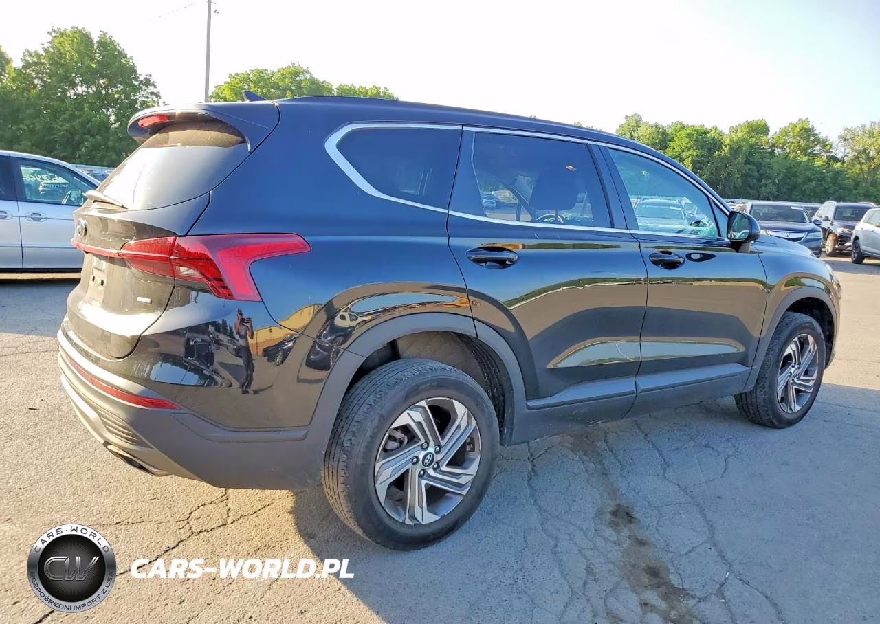 2021 Hyundai Santa Fe Se VIN:5NMS1DAJ0MH317030 - 3