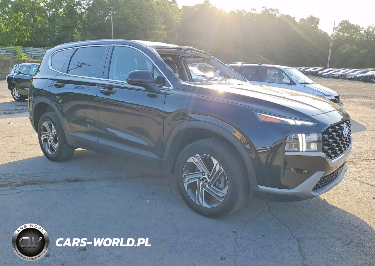 2021 Hyundai Santa Fe Se VIN:5NMS1DAJ0MH317030 - 4