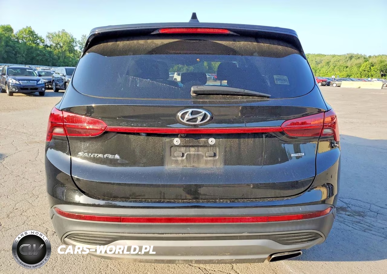 2021 Hyundai Santa Fe Se VIN:5NMS1DAJ0MH317030 - 6