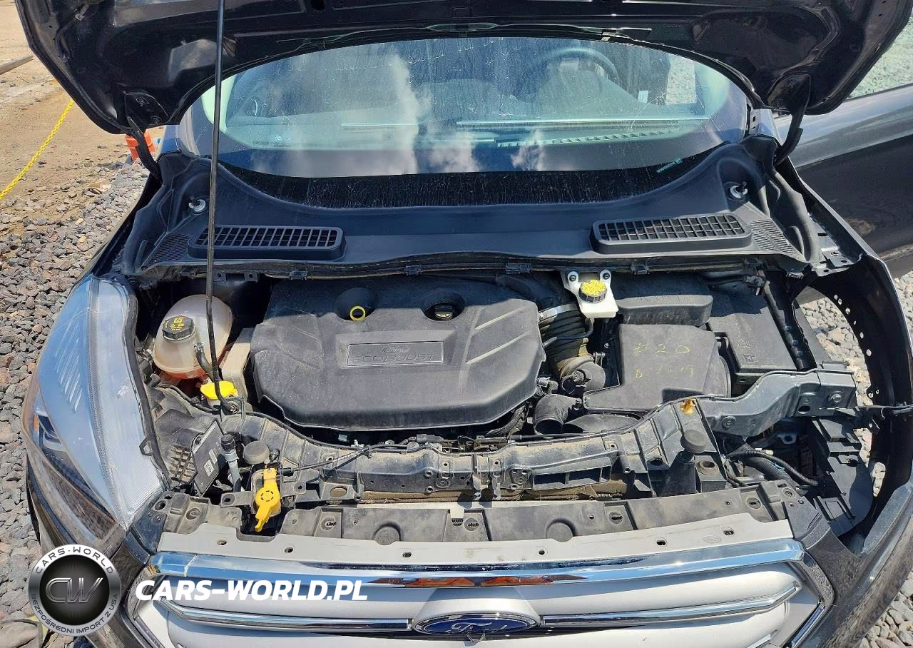 2019 Ford Escape Titanium VIN:1FMCU9J92KUC22193 - 11