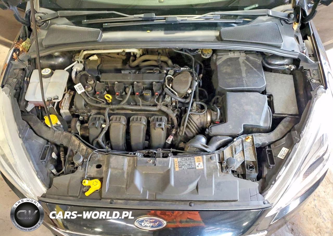 2015 Ford Focus Se VIN:1FADP3K27FL215966 - 11