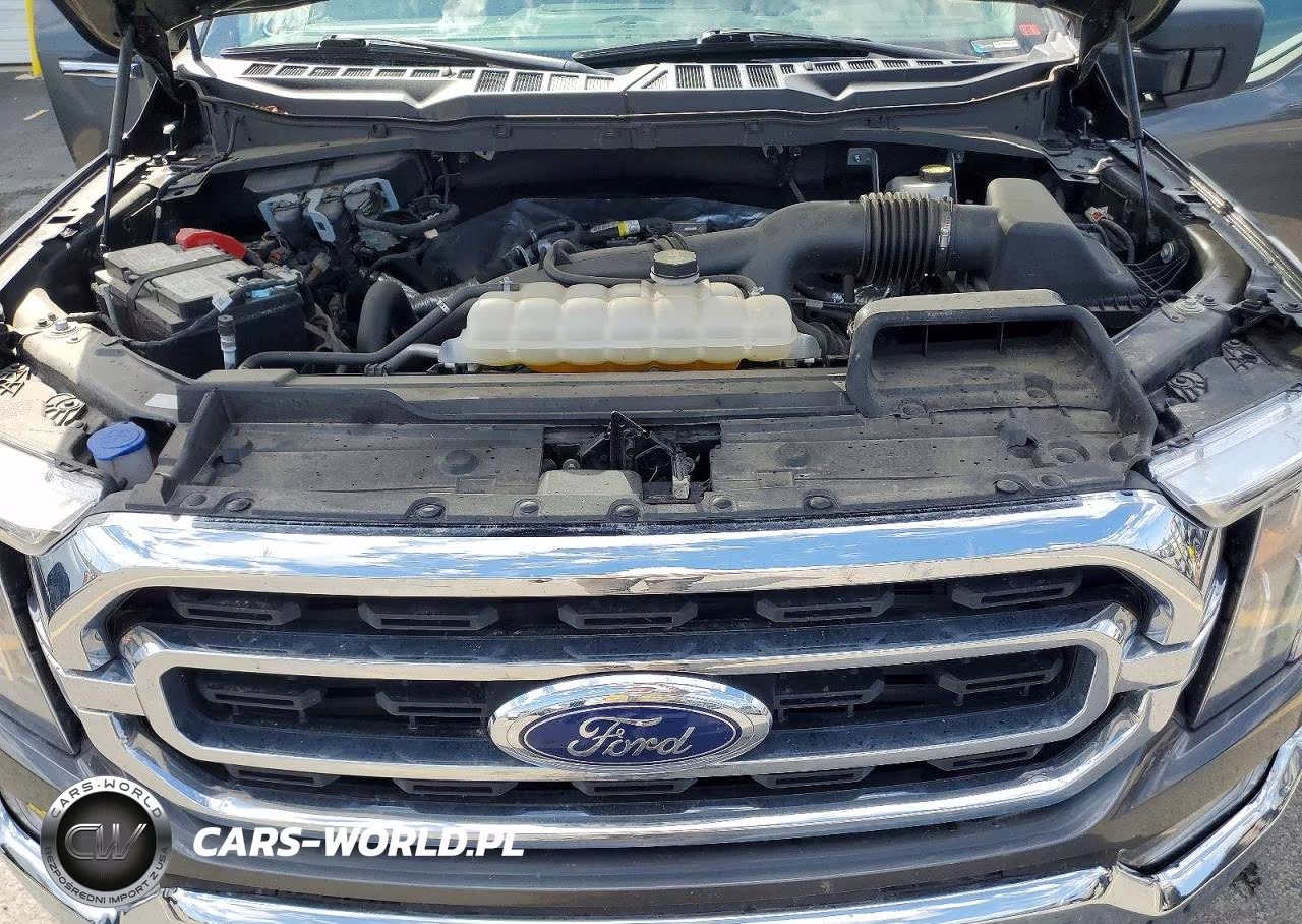 2023 Ford F150 Supercrew VIN:1FTEW1EP8PKG23705 - 11