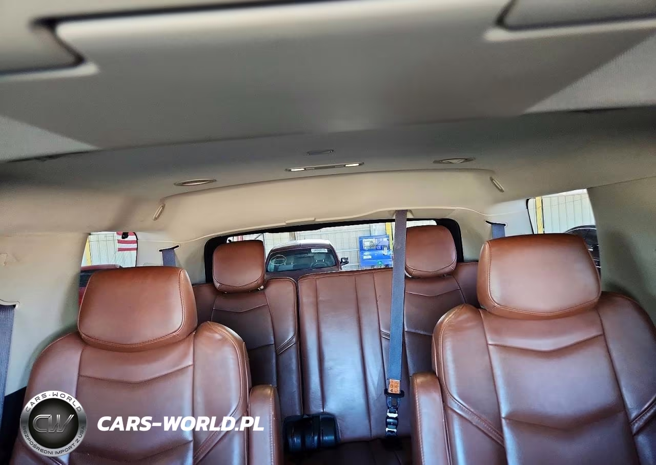 2015 Cadillac Escalade Premium VIN:1GYS4NKJ8FR566101 - 10