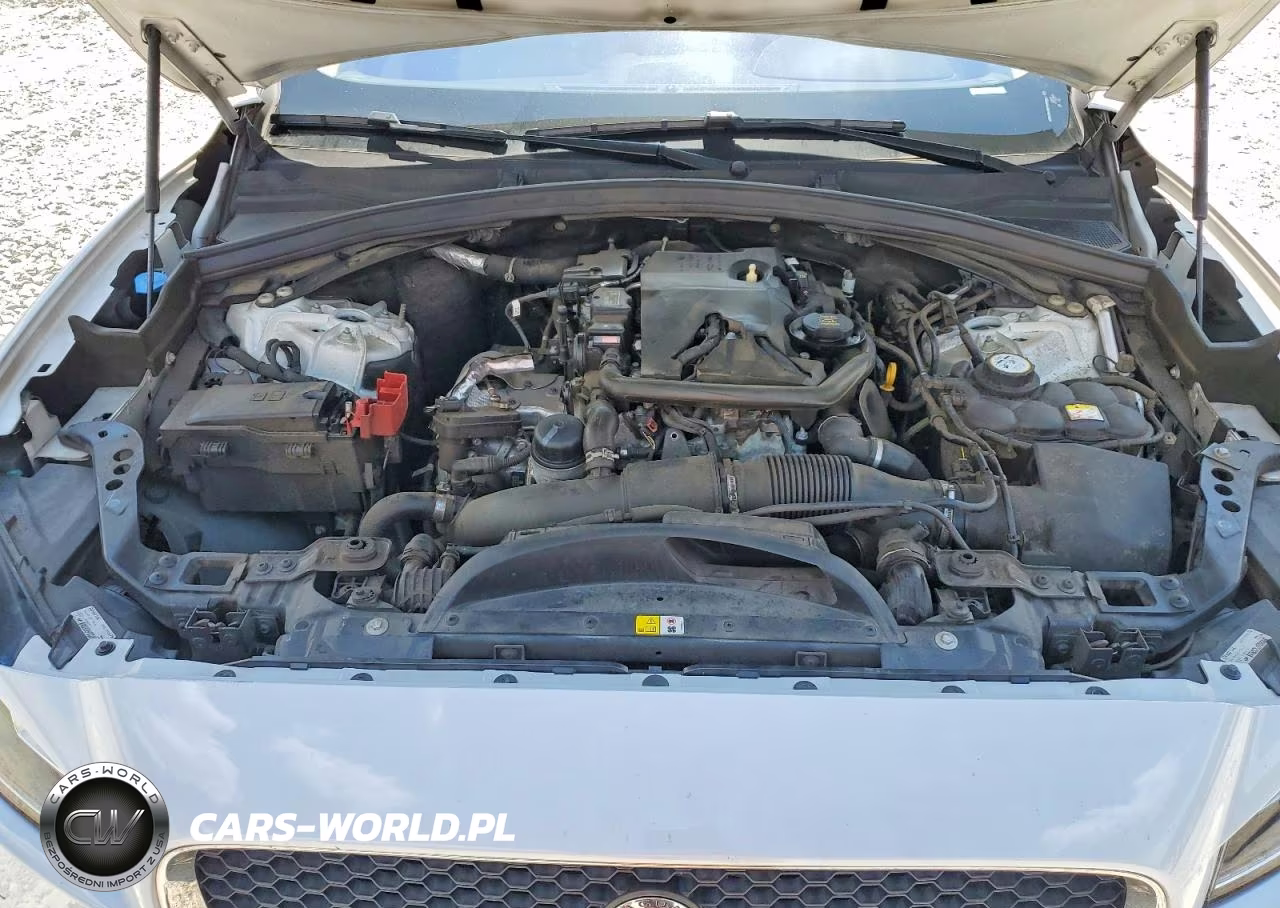 2019 Jaguar F-Pace Prestige VIN:SADCK2GX0KA390654 - 12