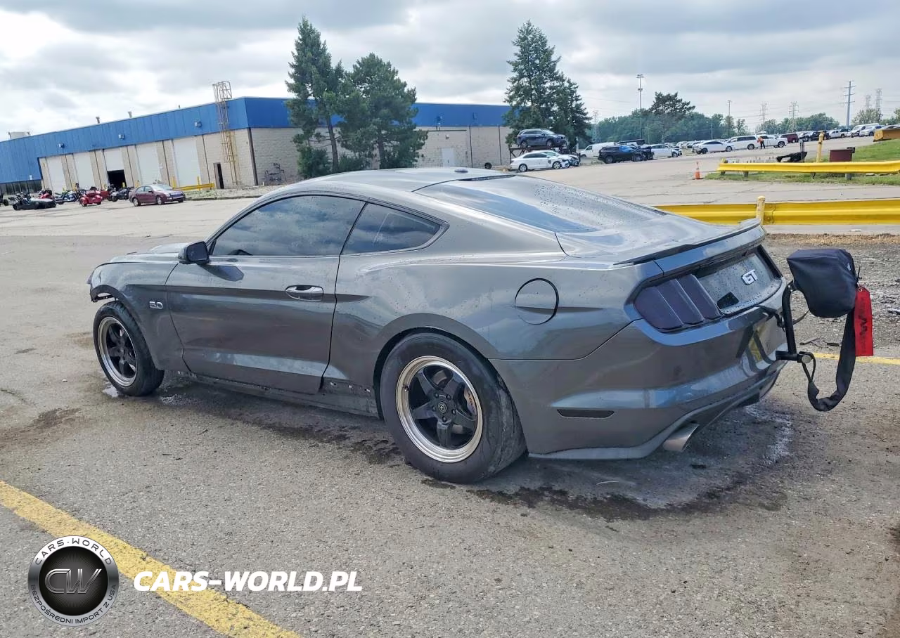 2016 Ford Mustang Gt VIN:1FA6P8CF6G5211064 - 2