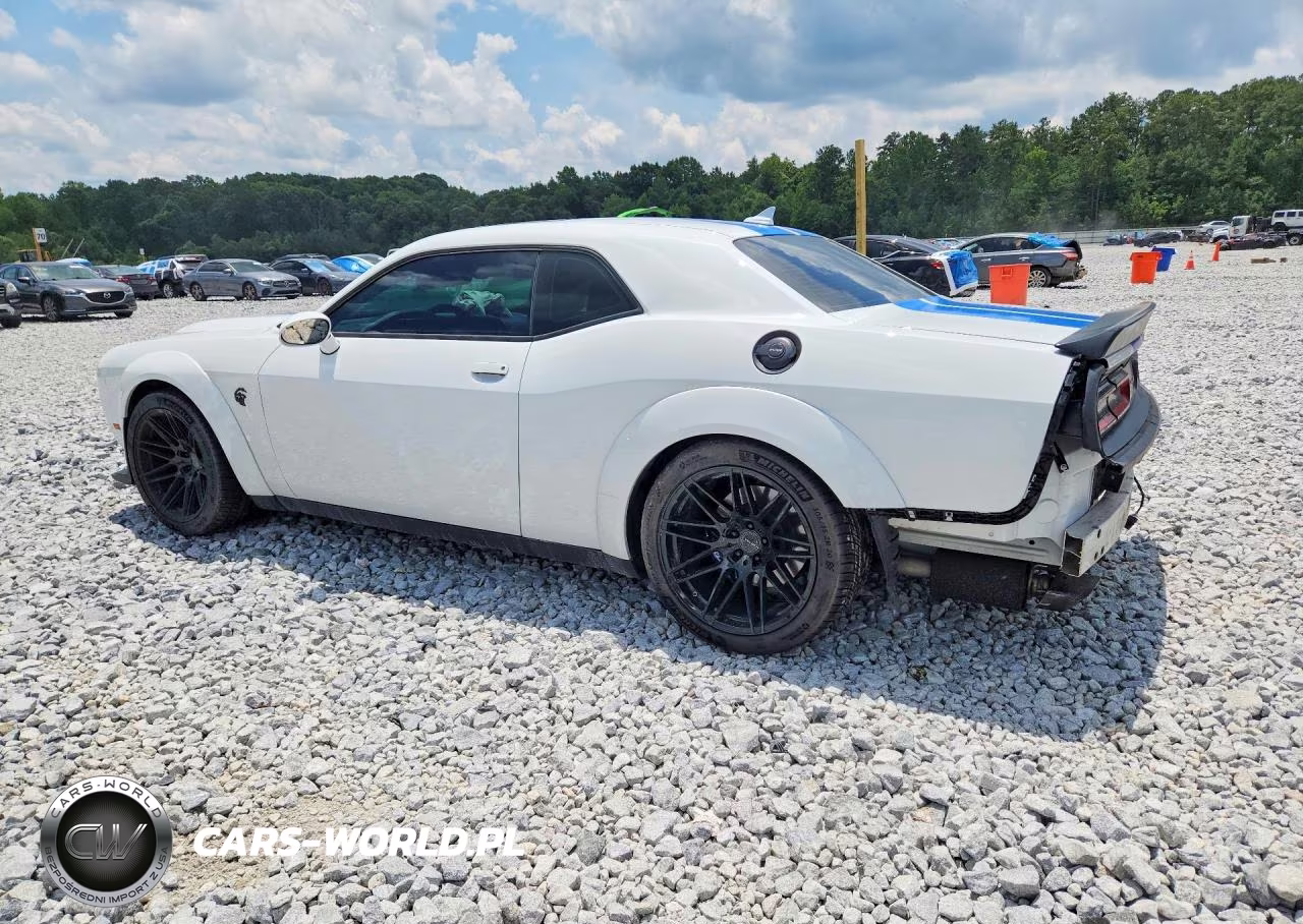 2023 Dodge Challenger Srt Hellcat VIN:2C3CDZC92PH562301 - 2