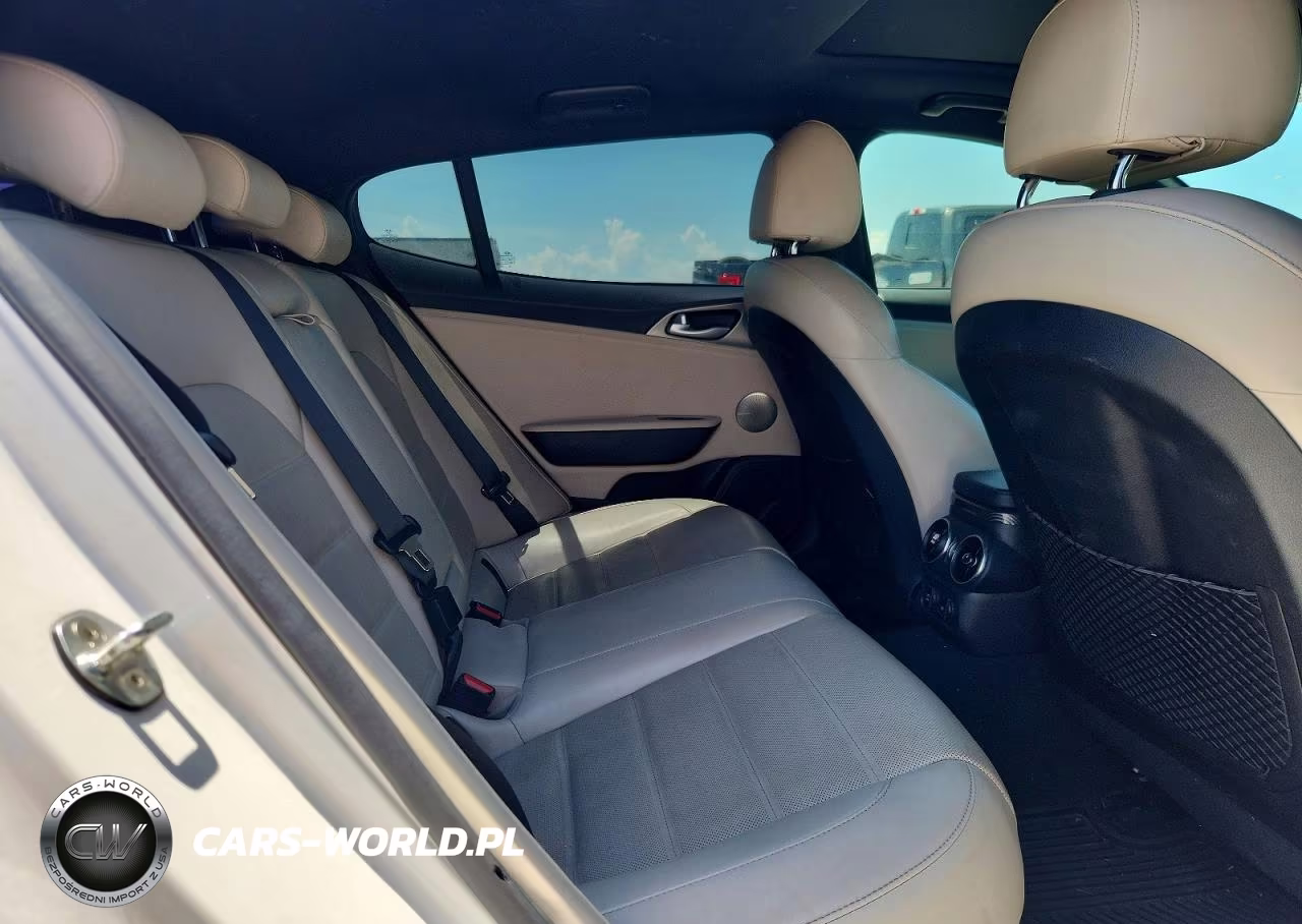 2019 Kia Stinger Gt2 VIN:KNAE55LC4K6064615 - 10