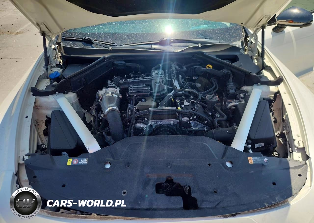 2019 Kia Stinger Gt2 VIN:KNAE55LC4K6064615 - 11