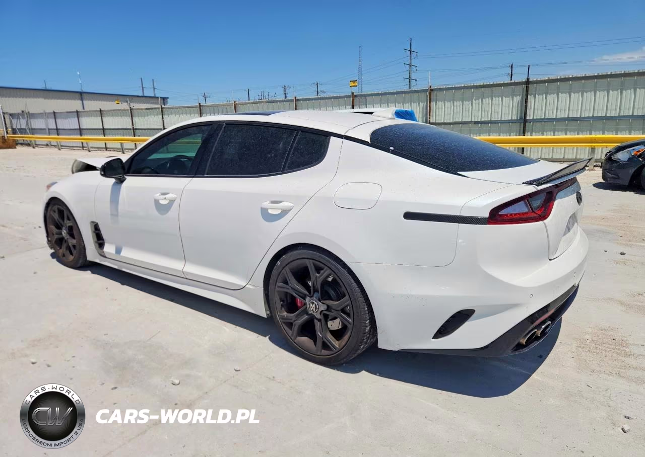 2019 Kia Stinger Gt2 VIN:KNAE55LC4K6064615 - 2