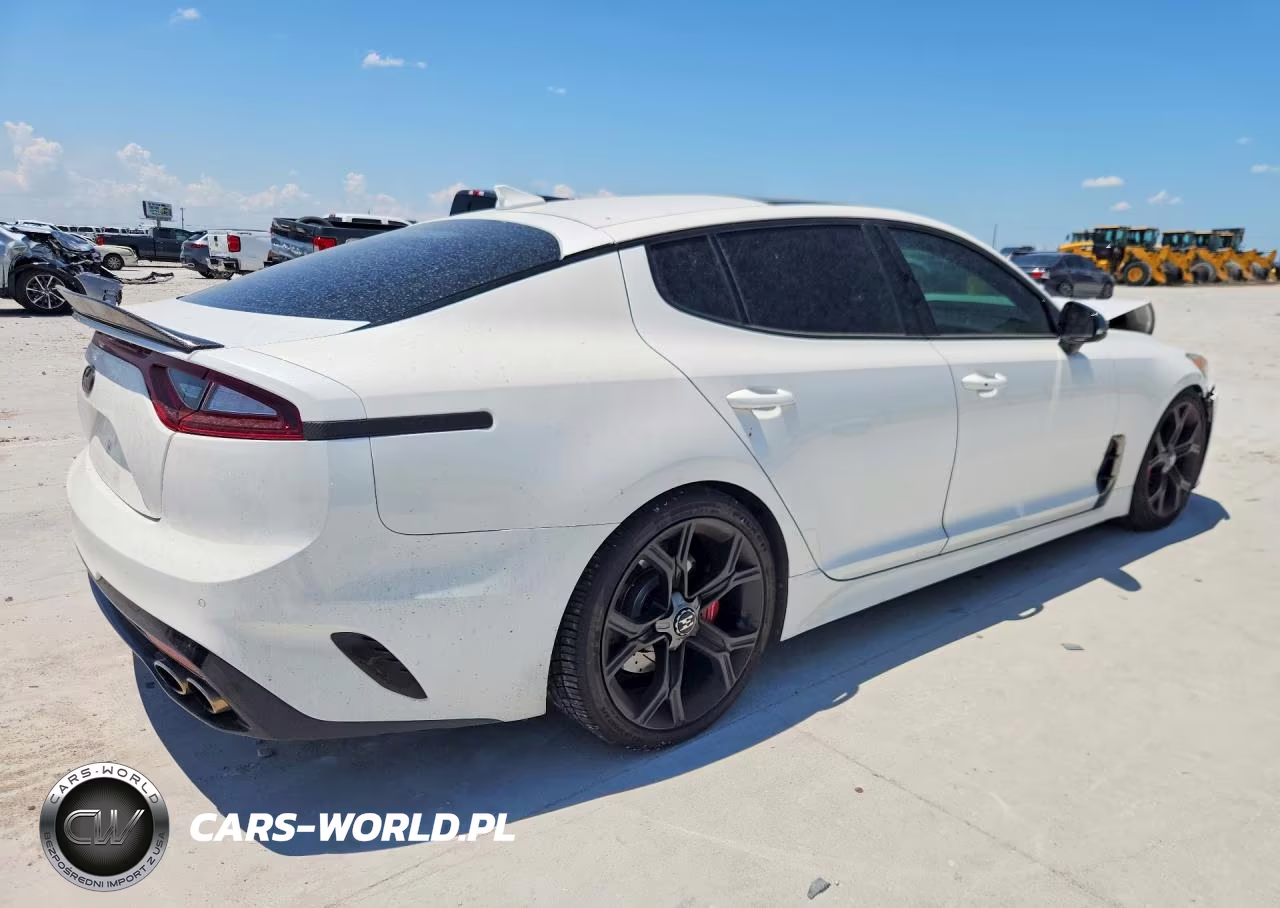 2019 Kia Stinger Gt2 VIN:KNAE55LC4K6064615 - 3