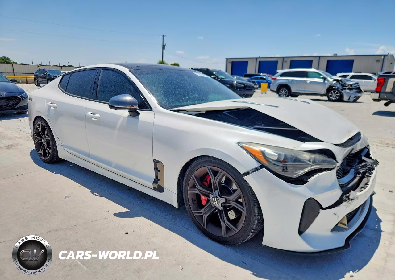 2019 Kia Stinger Gt2 VIN:KNAE55LC4K6064615 - 4