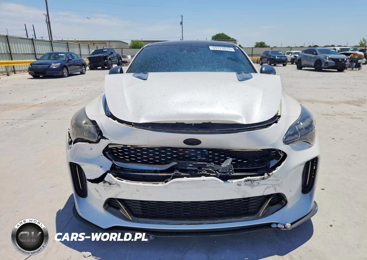 2019 Kia Stinger Gt2 VIN:KNAE55LC4K6064615 - 5