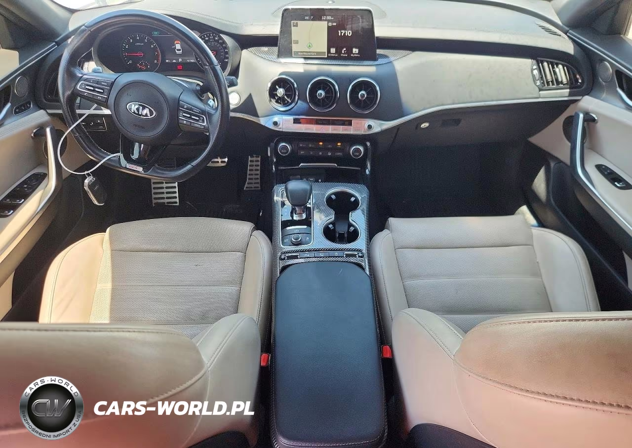 2019 Kia Stinger Gt2 VIN:KNAE55LC4K6064615 - 8