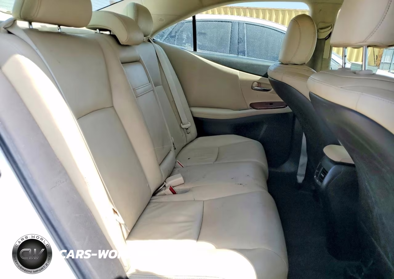 2010 Lexus Hs 250H-Hs VIN:JTHBB1BA3A2010945 - 10