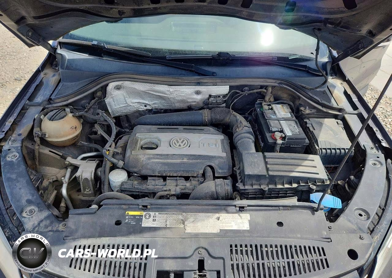 2016 Volkswagen Tiguan S VIN:WVGAV7AXXGW601882 - 11