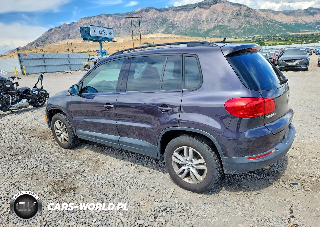 2016 Volkswagen Tiguan S VIN:WVGAV7AXXGW601882 - 2