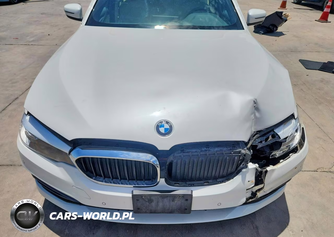 2019 BMW 530 I VIN:WBAJA5C5XKWW18753 - 11