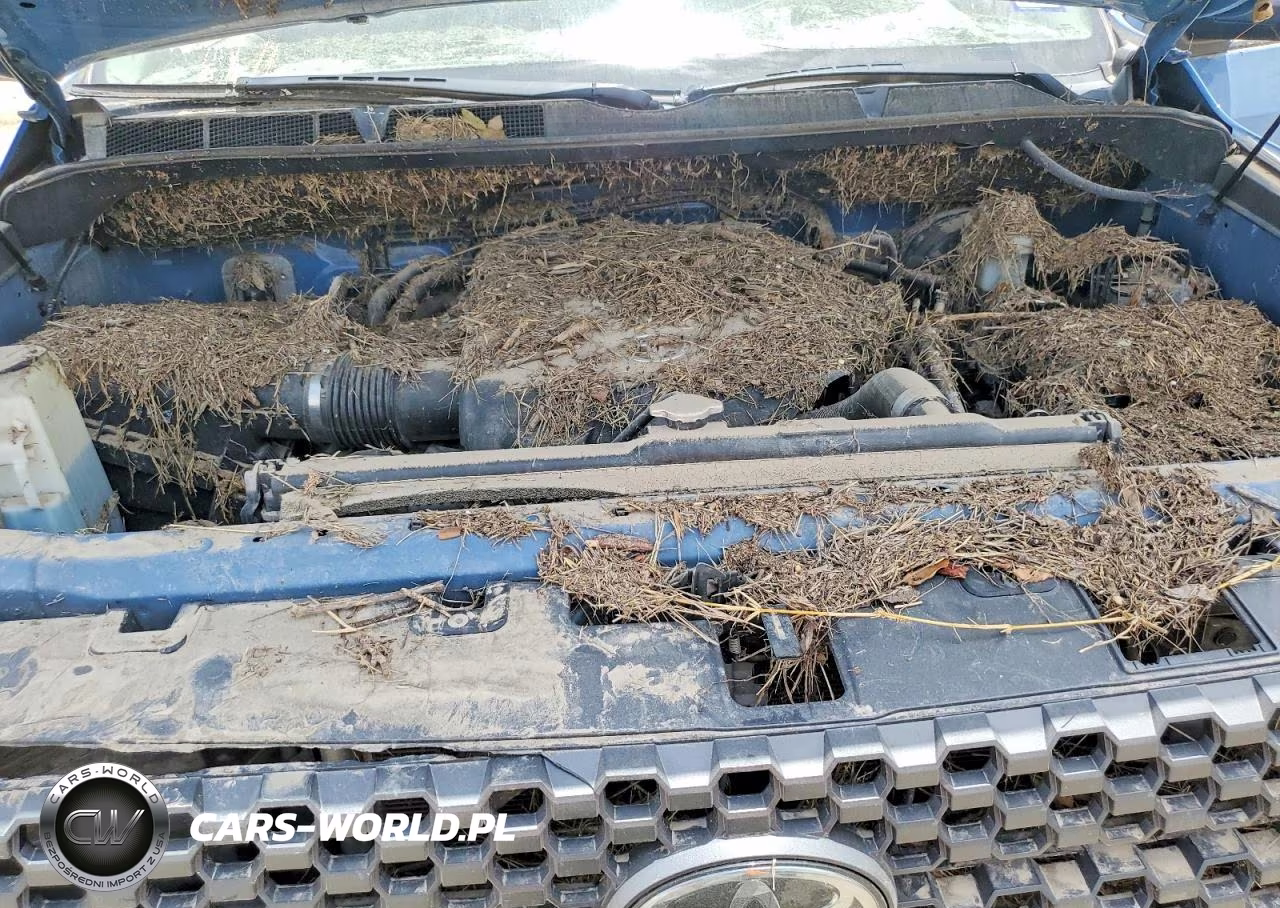 2020 Toyota Tundra Sr5 VIN:5TFDY5F14LX891221 - 11