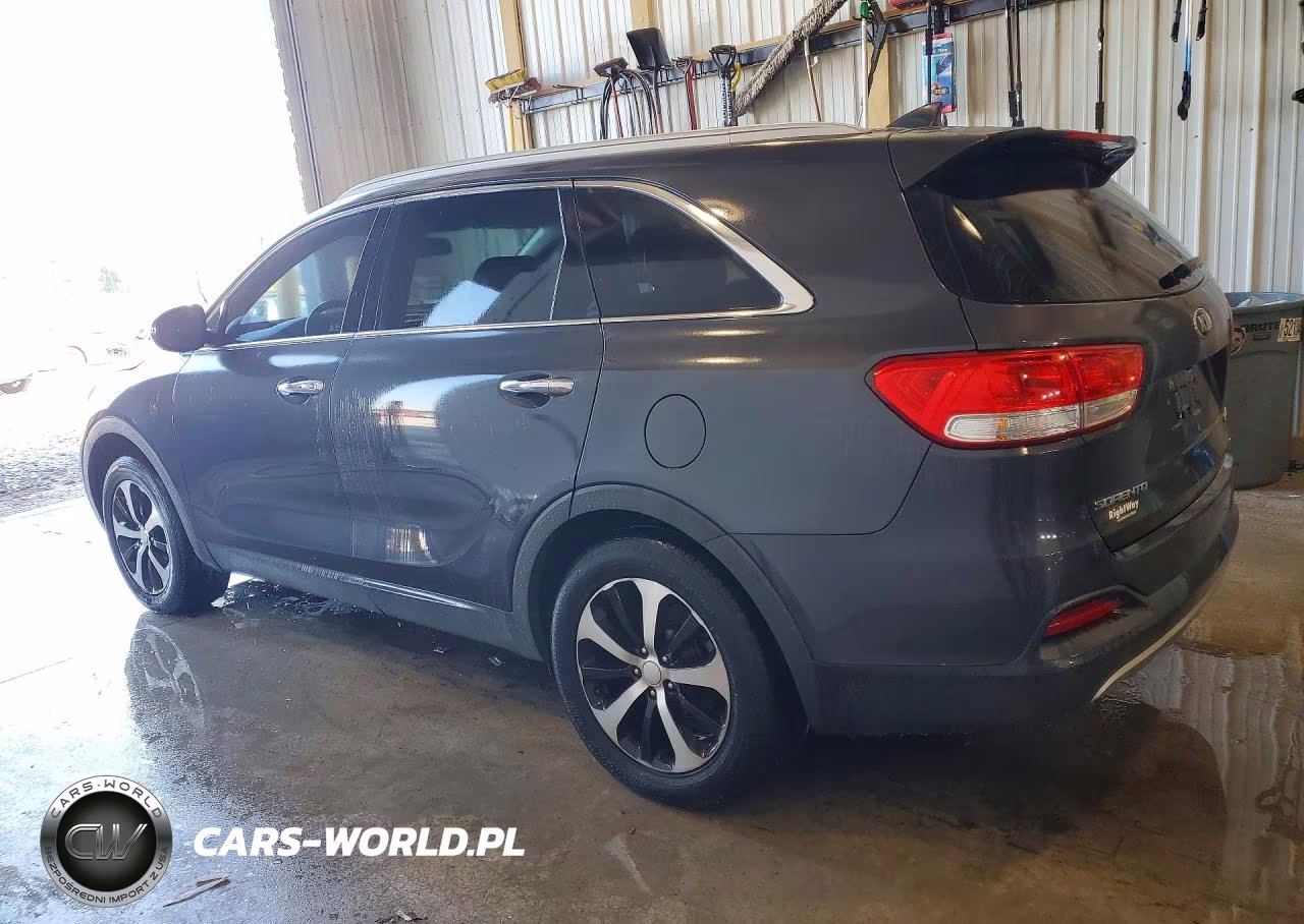2016 Kia Sorento Ex VIN:5XYPH4A19GG005319 - 2