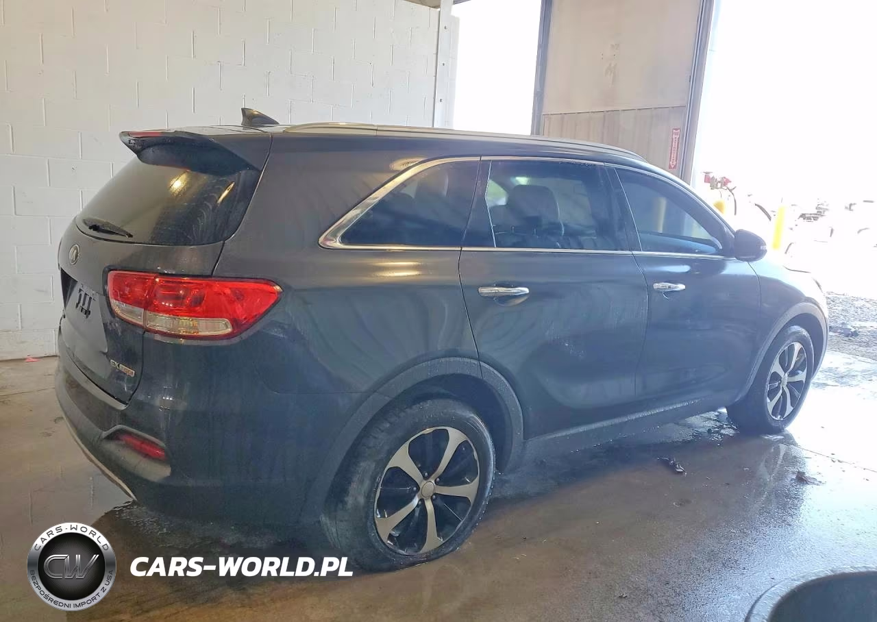 2016 Kia Sorento Ex VIN:5XYPH4A19GG005319 - 3