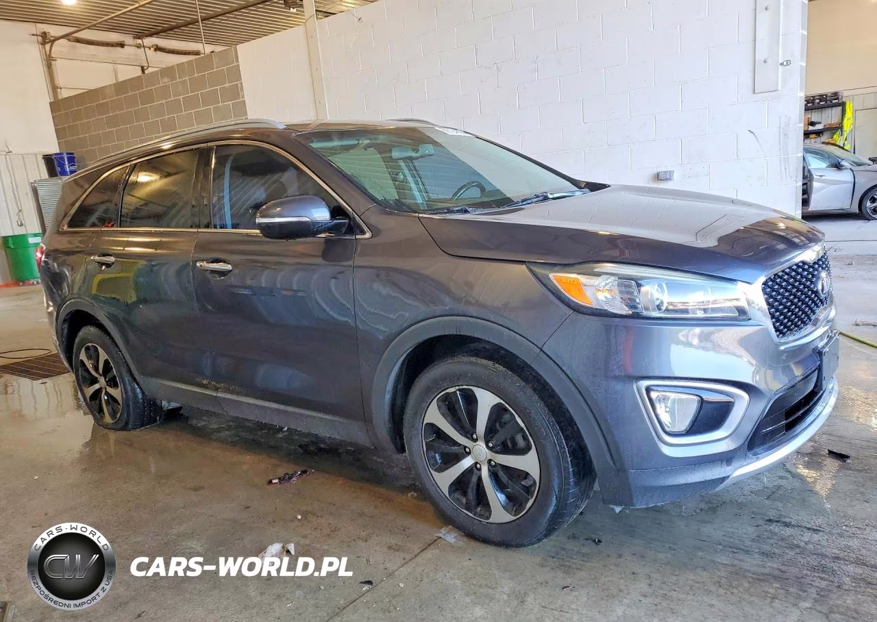 2016 Kia Sorento Ex VIN:5XYPH4A19GG005319 - 4