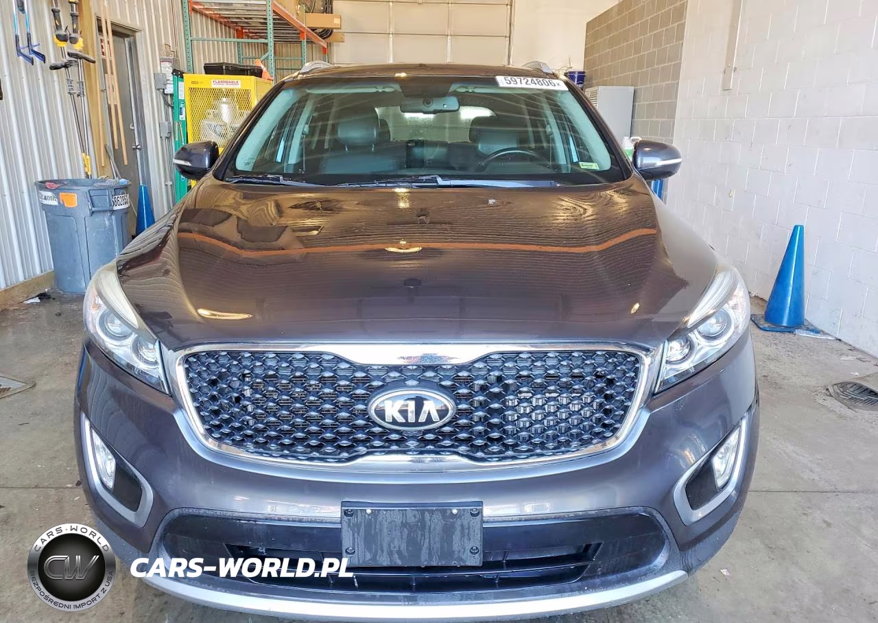 2016 Kia Sorento Ex VIN:5XYPH4A19GG005319 - 5