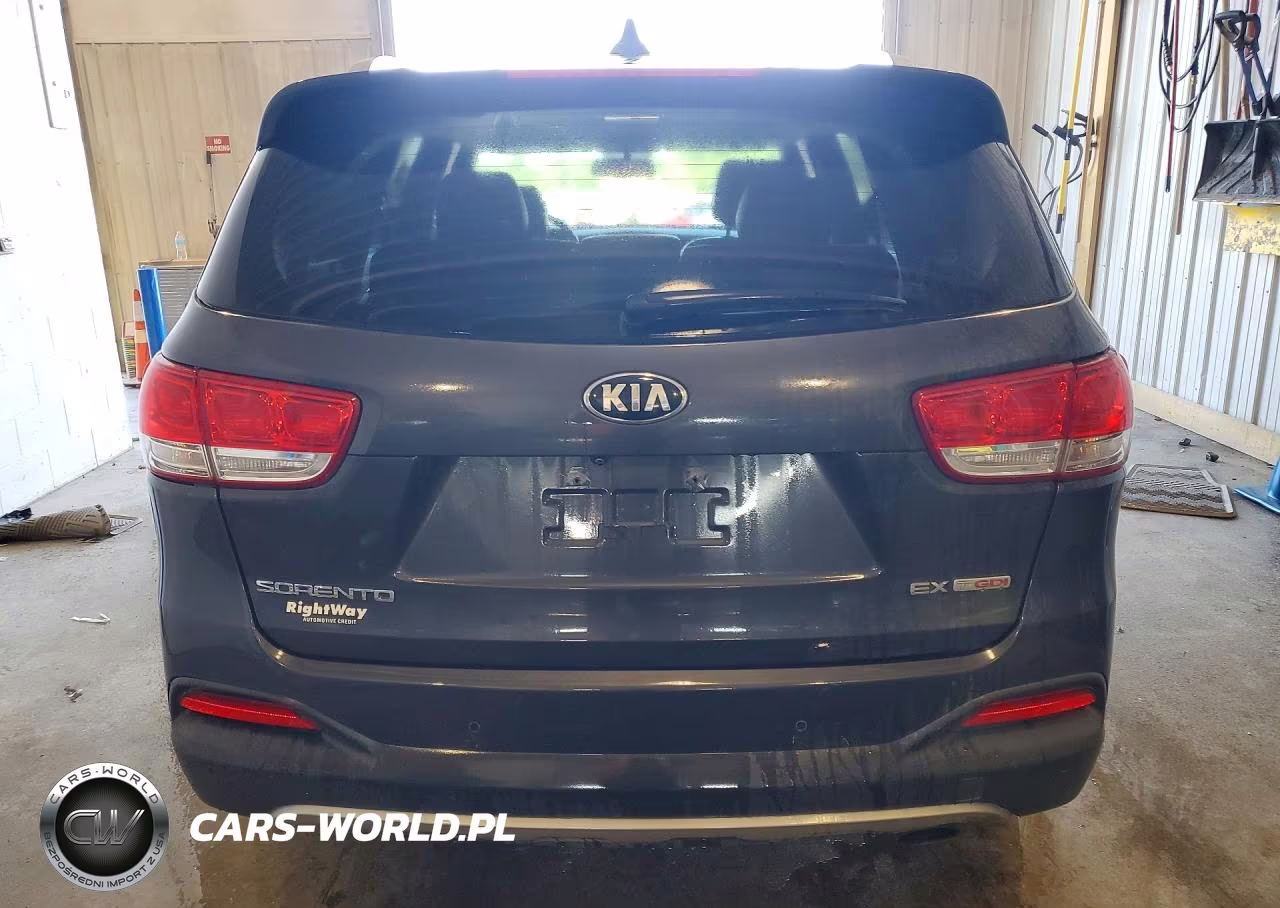 2016 Kia Sorento Ex VIN:5XYPH4A19GG005319 - 6