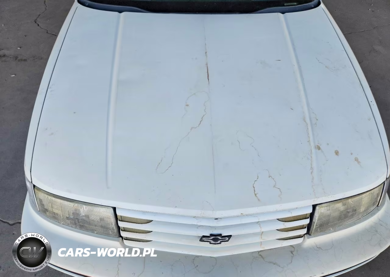 1992 Chevrolet Lumina Euro VIN:2G1WN54T0N9220726 - 11
