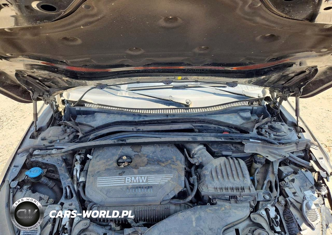 2020 BMW 228Xi VIN:WBA73AK04L7F68093 - 11
