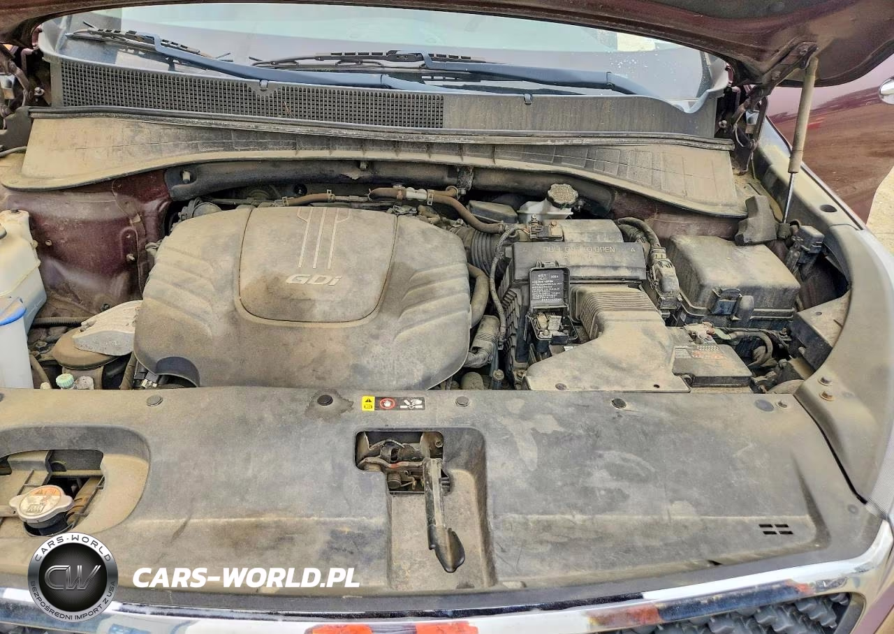 2017 Kia Sorento Lx VIN:5XYPGDA5XHG240299 - 12
