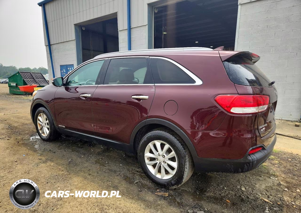 2017 Kia Sorento Lx VIN:5XYPGDA5XHG240299 - 2