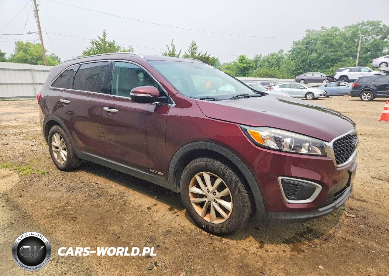 2017 Kia Sorento Lx VIN:5XYPGDA5XHG240299 - 4