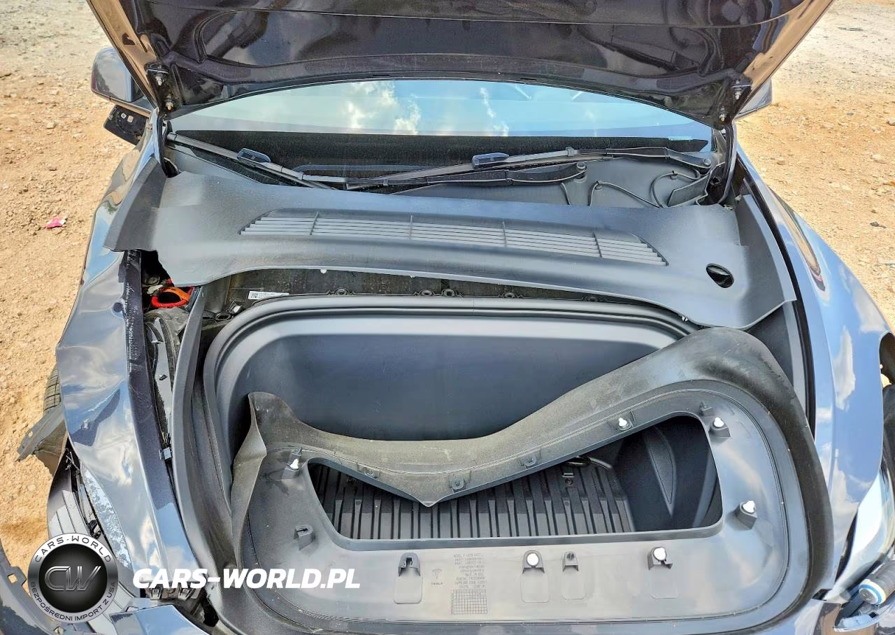 2024 Tesla Model Y VIN:7SAYGDEF9RF042073 - 11