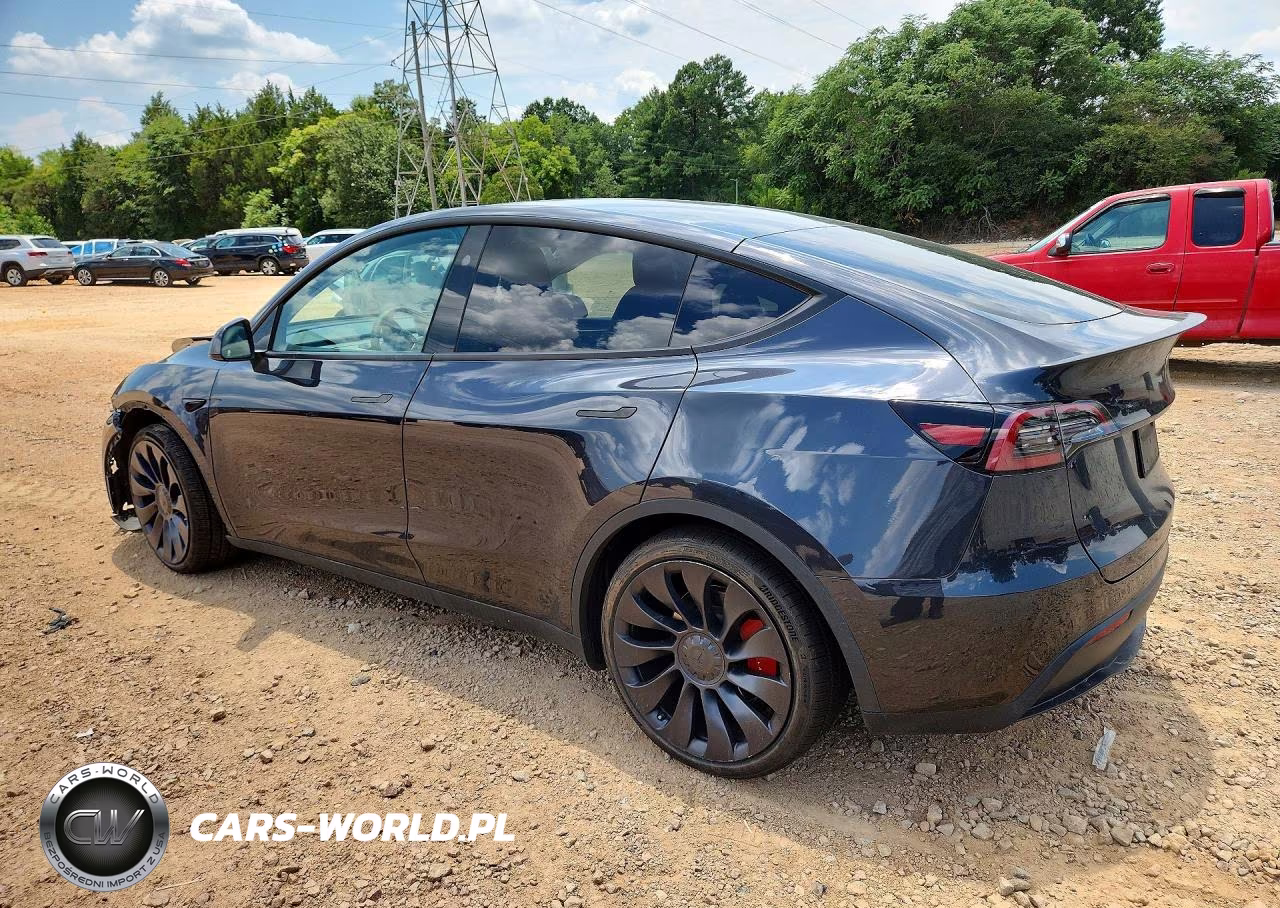 2024 Tesla Model Y VIN:7SAYGDEF9RF042073 - 2