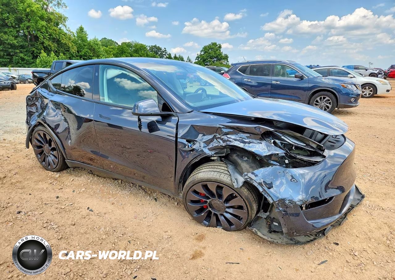 2024 Tesla Model Y VIN:7SAYGDEF9RF042073 - 4