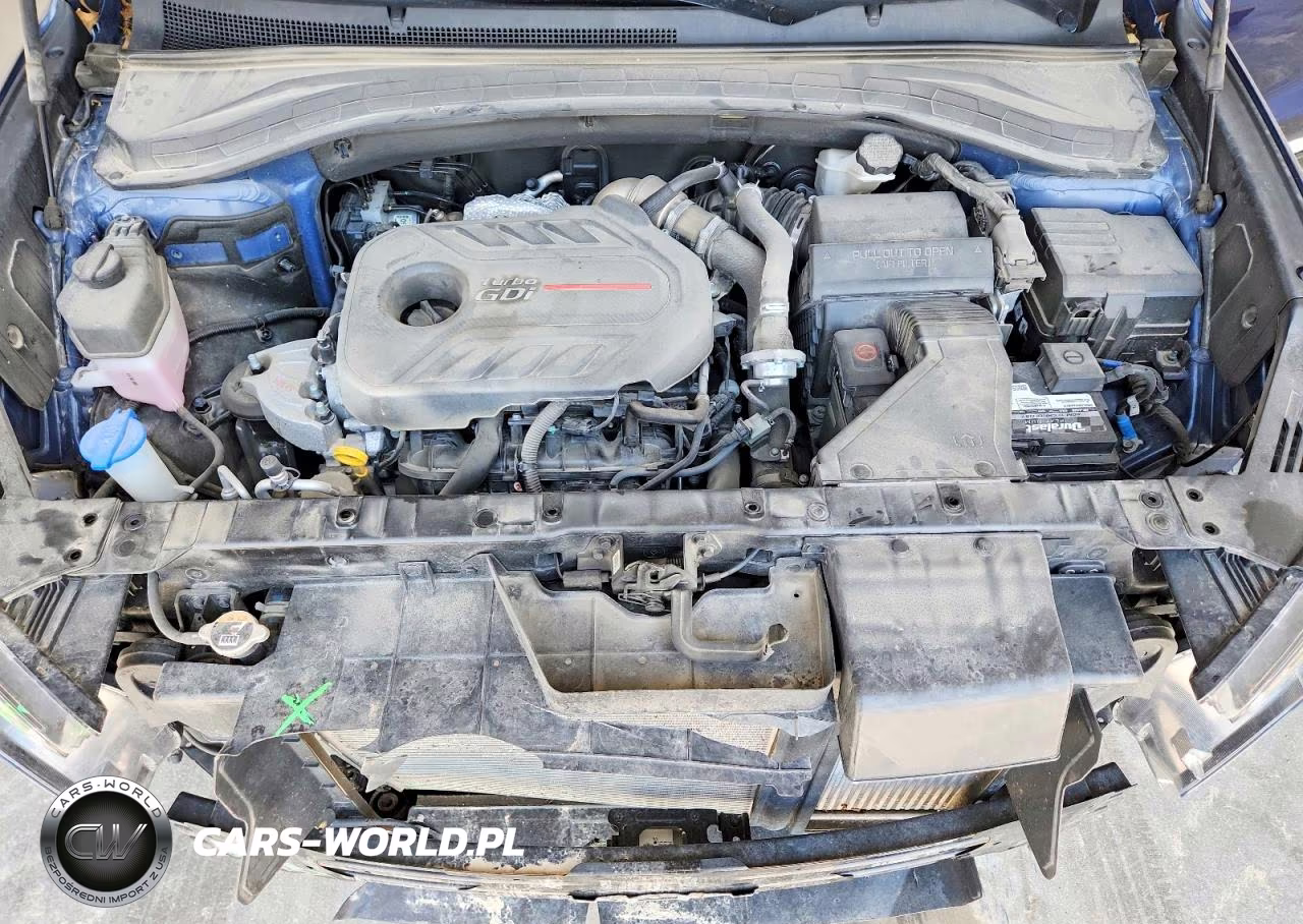 2020 Hyundai Santa Fe Limited 2.0T VIN:5NMS5CAA4LH306397 - 11